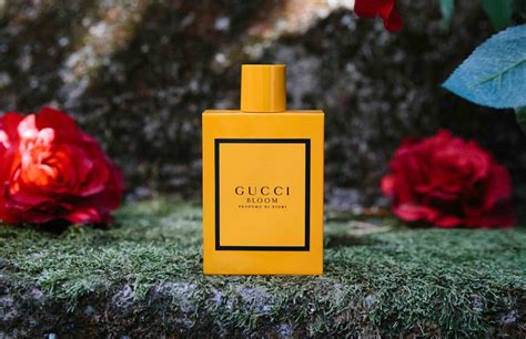 gucci bloom di fiori review|Gucci Bloom profumo.